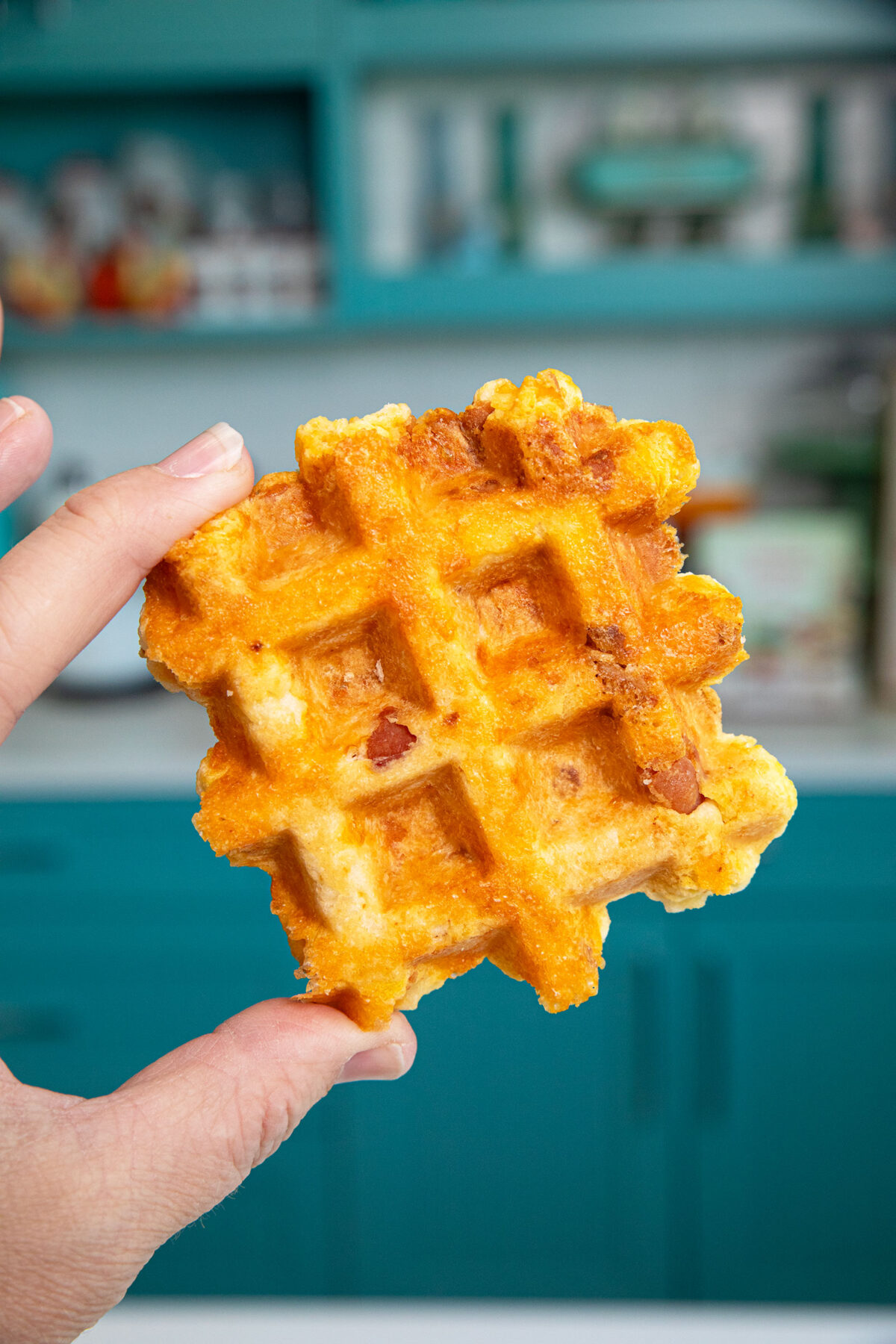 a hand holding a bacon and cheddar waffle biscuit up close