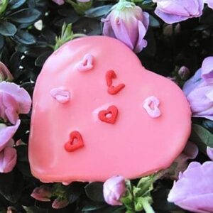 Heart Shaped Pink Cherry Sugar Cookie on top of flowers