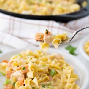 Close up Chicken and Noodles with vegetables in a white plate