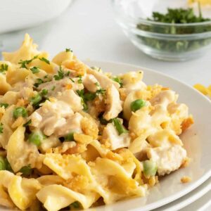 Creamy Turkey Casserole closeup on a stack of plates