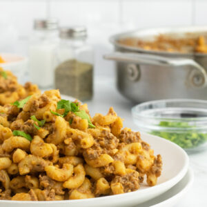 hamburger helper on white plate