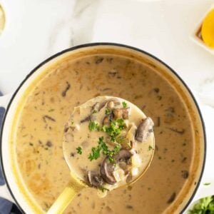 hungarian mushroom soup ladle full over a pot