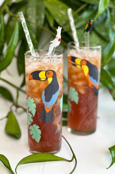 jungle bird cocktail in glasses in front of a plant