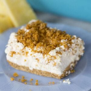 close up Pineapple Slice topped with whipped cream and sprinkles of graham crumbs