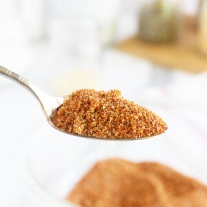 pork chop seasoning in a spoon closeup