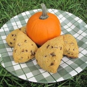 a pumpkin and 4 pieces of Pumpkin Spice Scones in a checkered green plate on the grass