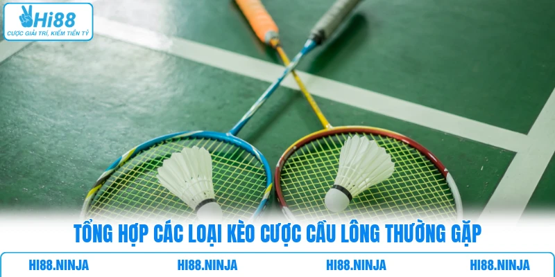 Tổng hợp các loại kèo cược cầu lông thường gặp 