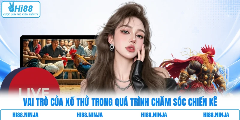 Vai trò của xổ thử trong quá trình chăm sóc chiến kê 